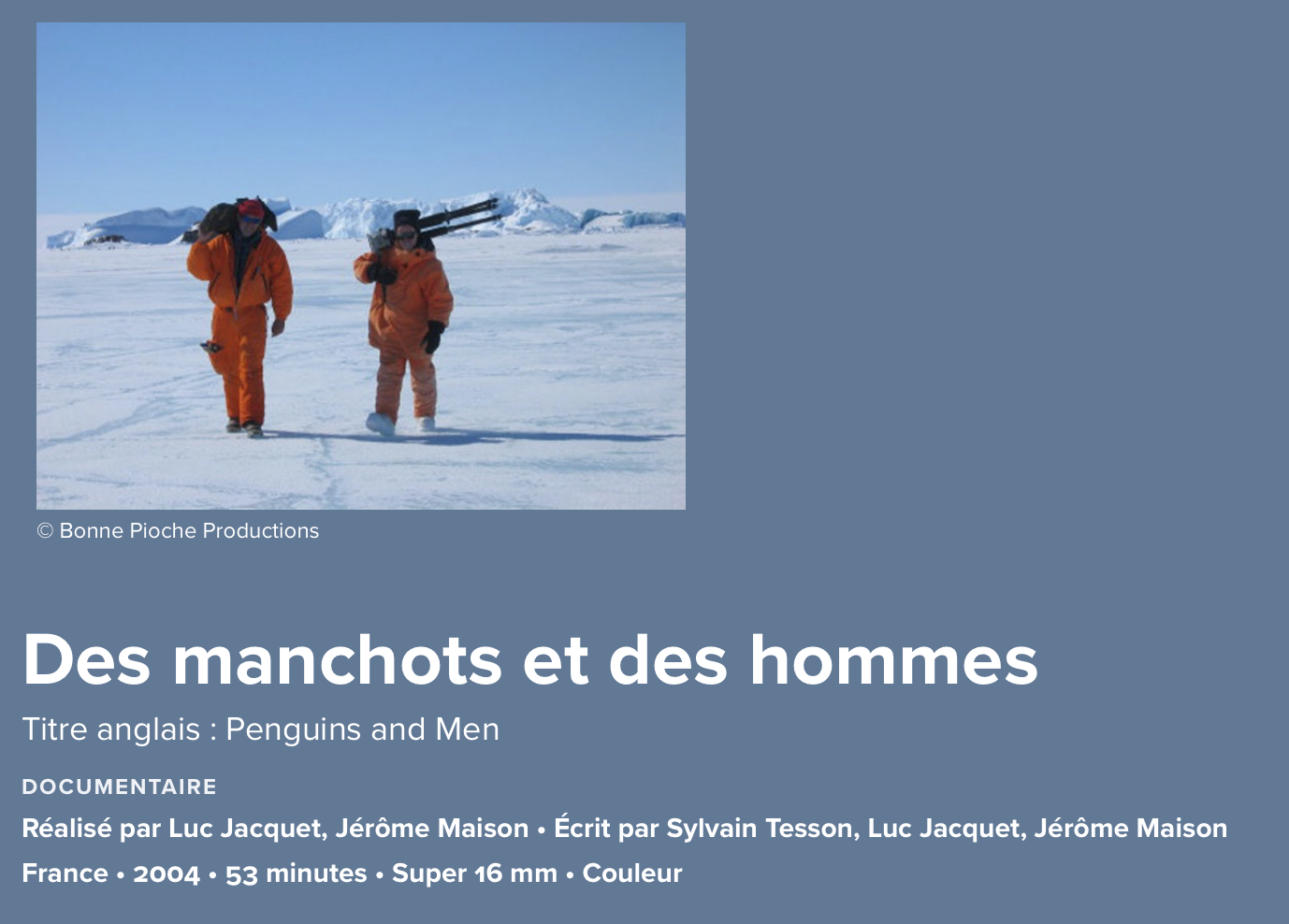 des manchots et des hommes